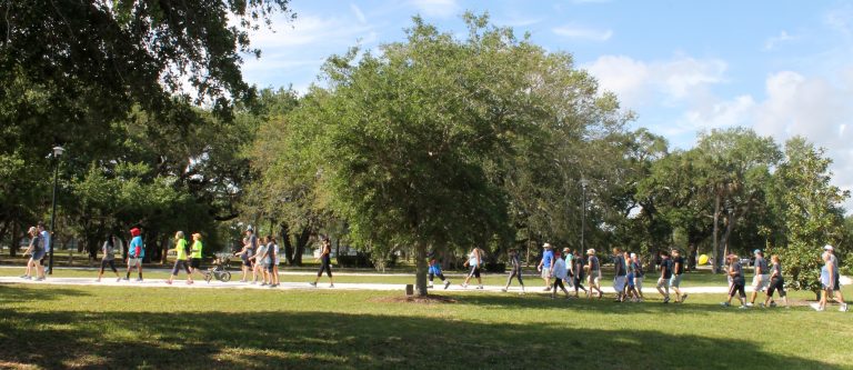 people walking in the park