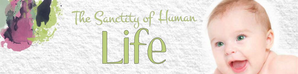banner for Sanctity of Human Life