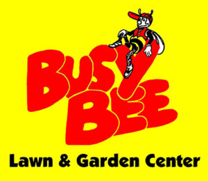 Busy Bee Color Logo web version