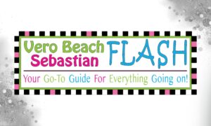 Veros Flash Sponsor