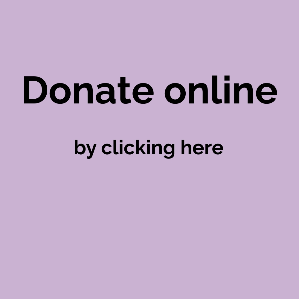 bbc donate online